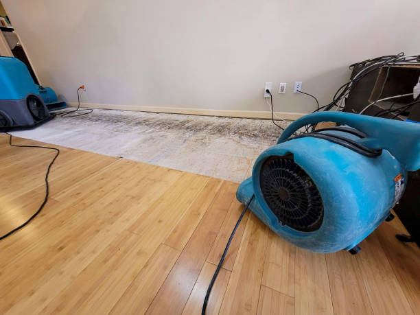 Professional Ceiling Water Damage Repair technician working in Kimball, NE